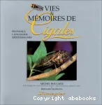 vignette